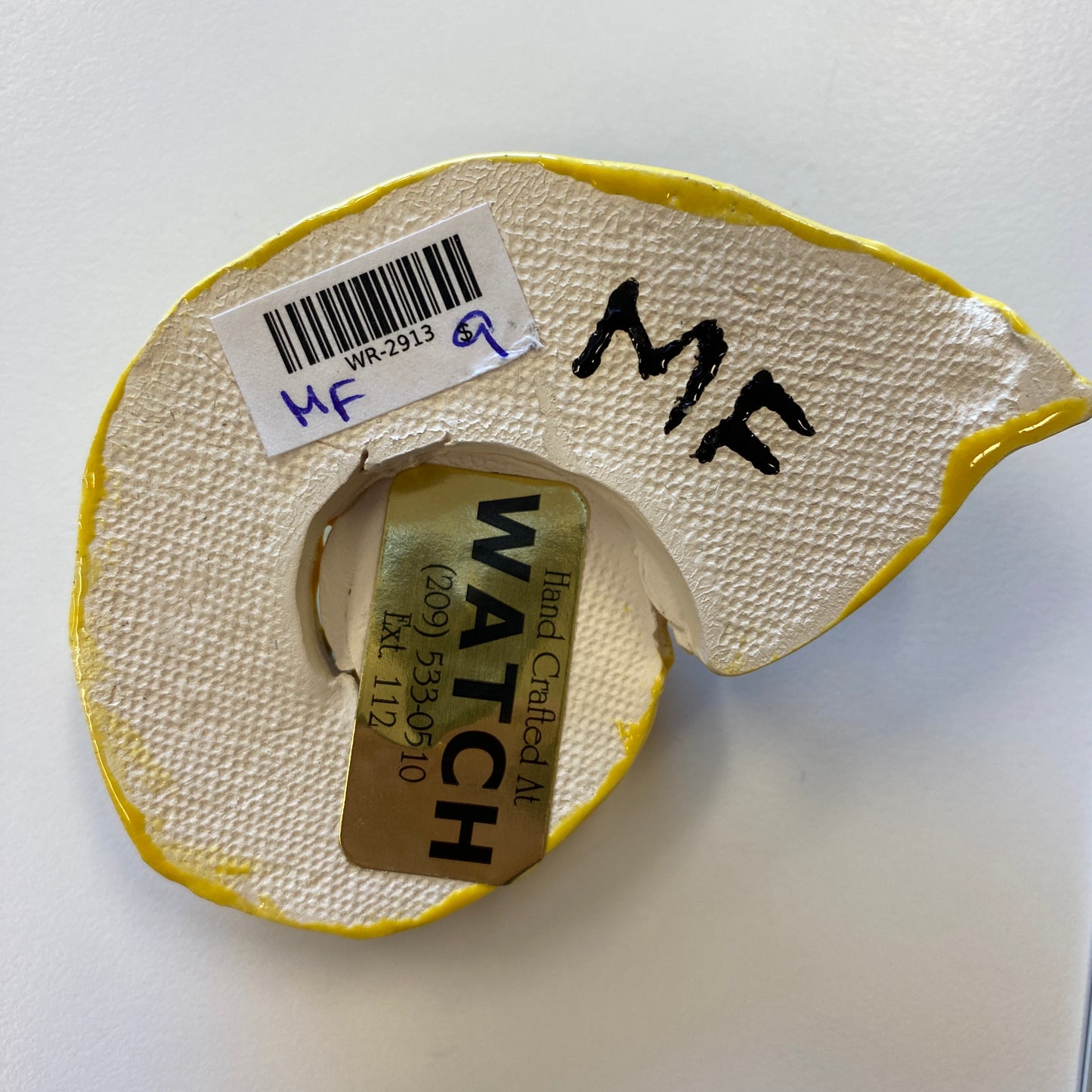 WATCH Resources Art Guild - Ceramic Arts Handmade Clay Crafts Fresh Fish Glazed 3.5-inch x 2.5-inch Shell made by Morgan Fox