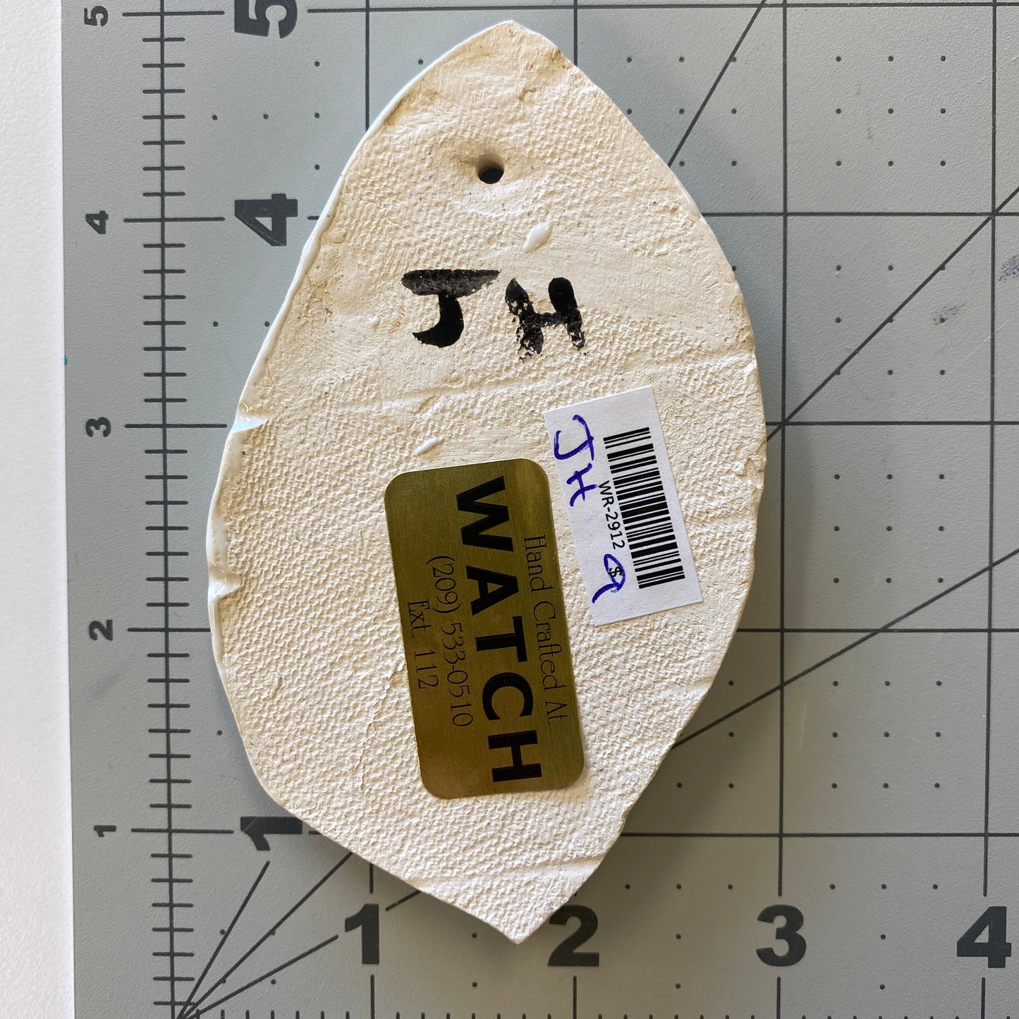 WATCH Resources Art Guild - Ceramic Arts Handmade Clay Crafts Fresh Fish Glazed 4.5-inch x 2.5-inch Shell made by Jennifer Horne