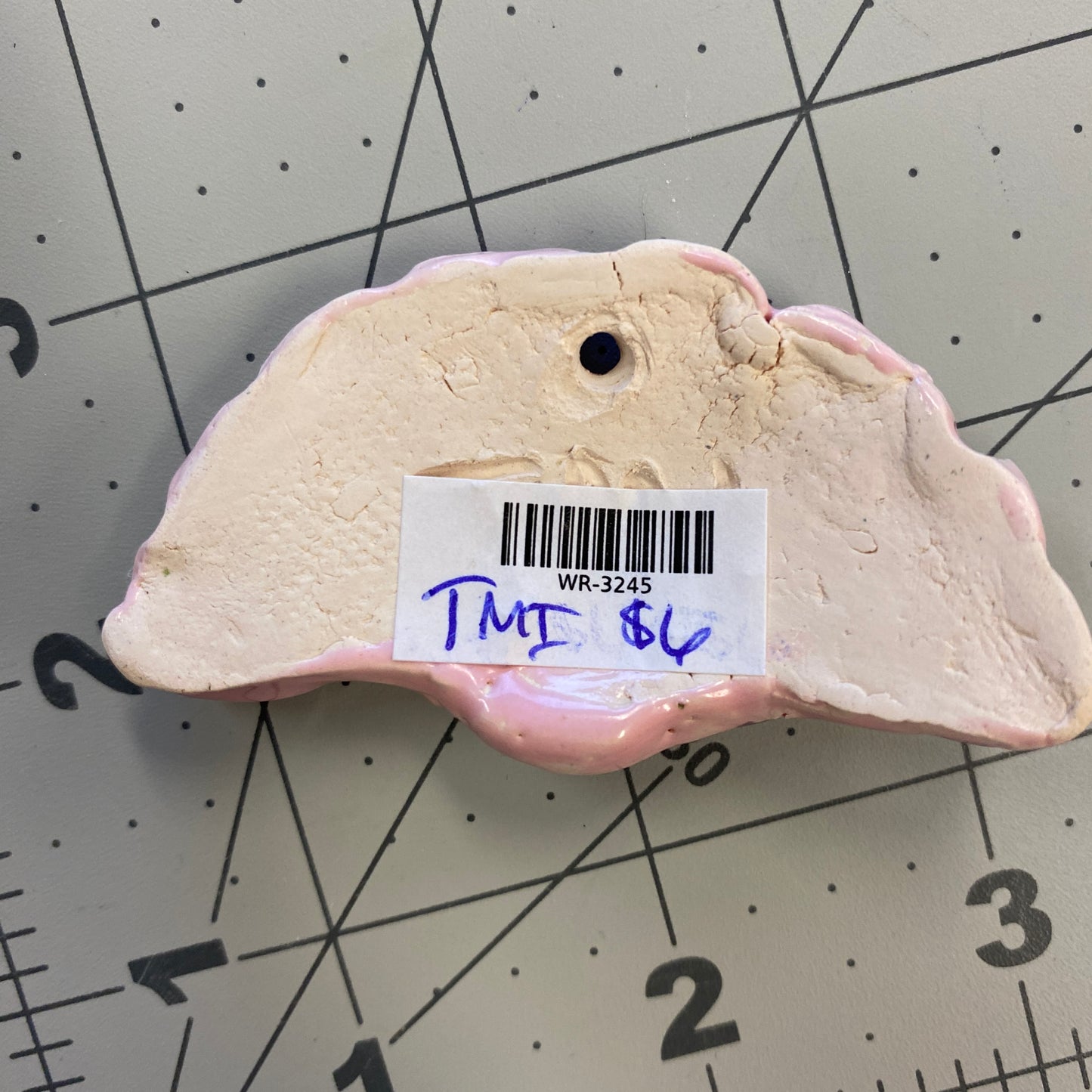 WATCH Resources Art Guild - Ceramic Arts Handmade Clay Crafts Fresh Fish Glazed Shell 2.5-inch x 1.5-inch made by Tami Mills