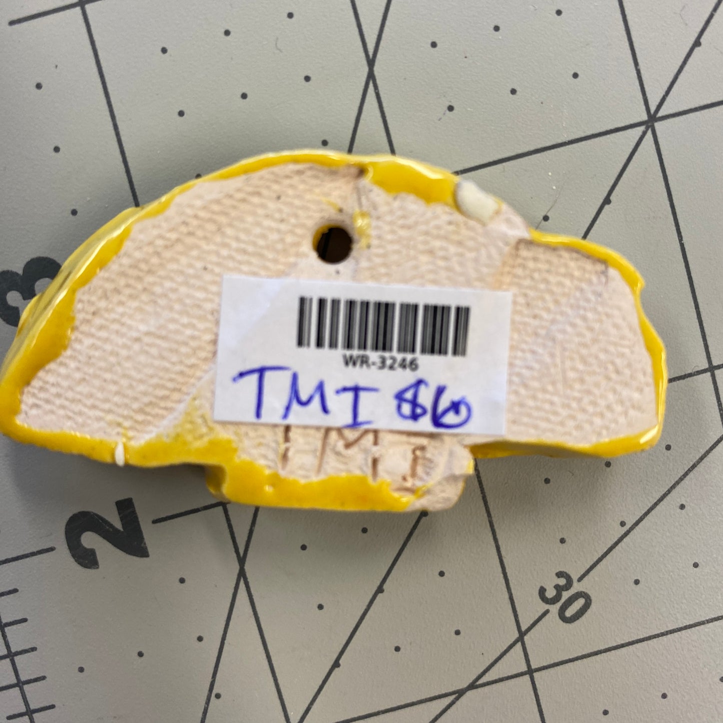 WATCH Resources Art Guild - Ceramic Arts Handmade Clay Crafts Fresh Fish Glazed Shell 2.5-inch x 1.5-inch made by Tami Mills