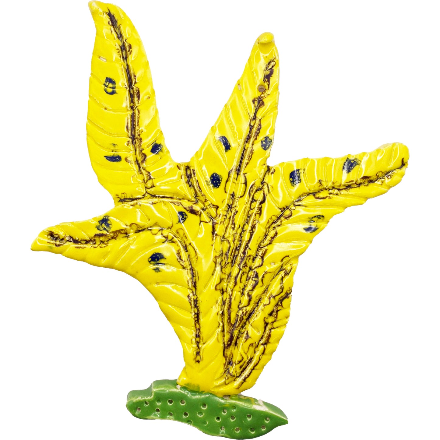 Ceramic Arts Handmade Clay Crafts Seaweed Glazed 7-inch by 6-inch made by Brooke Winham