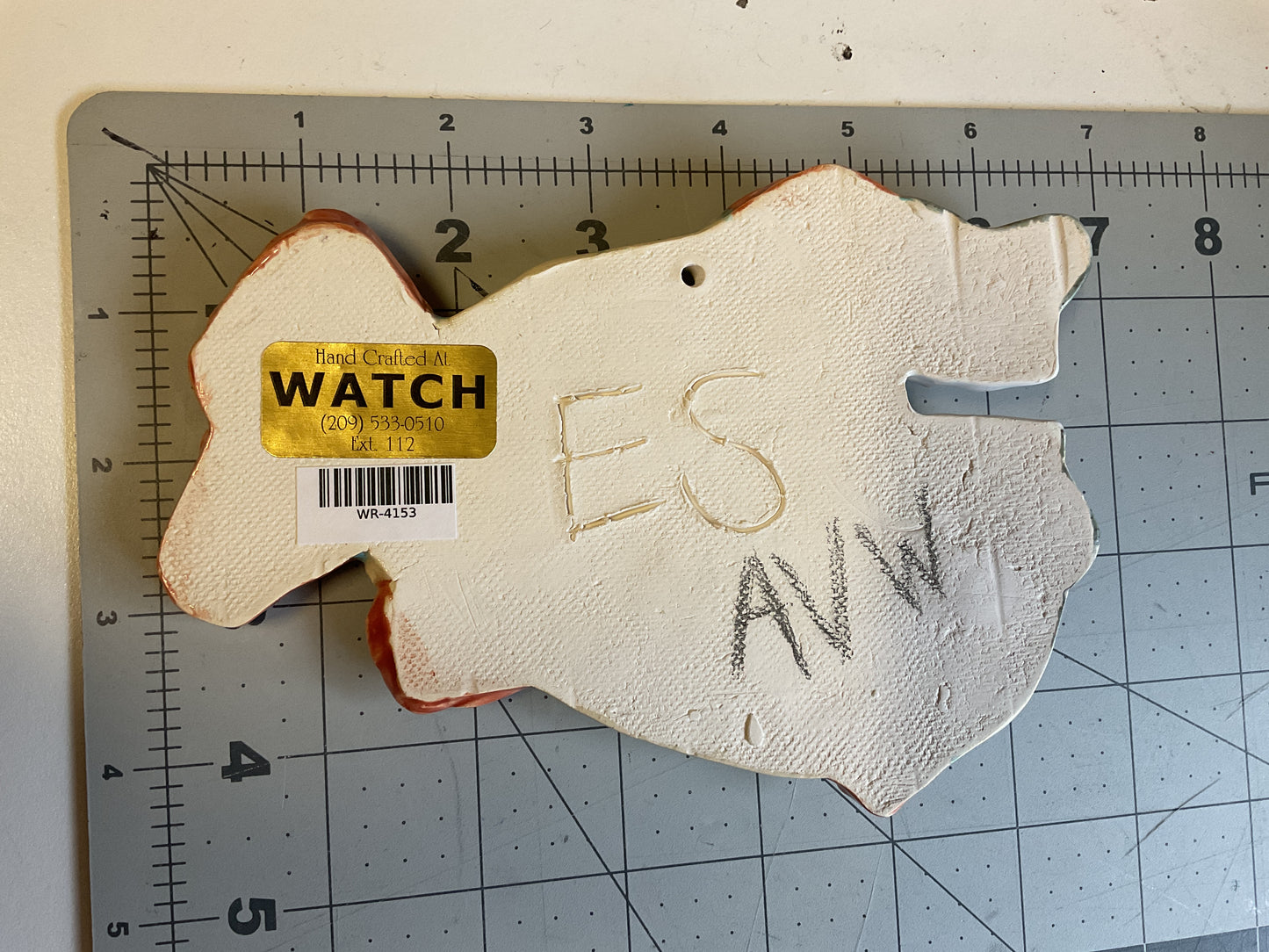 Ceramic Arts Handmade Clay Crafts Glazed Fish 4.5-inch by 6.5-inch made by Angelina Vida-White and Eric Stacy