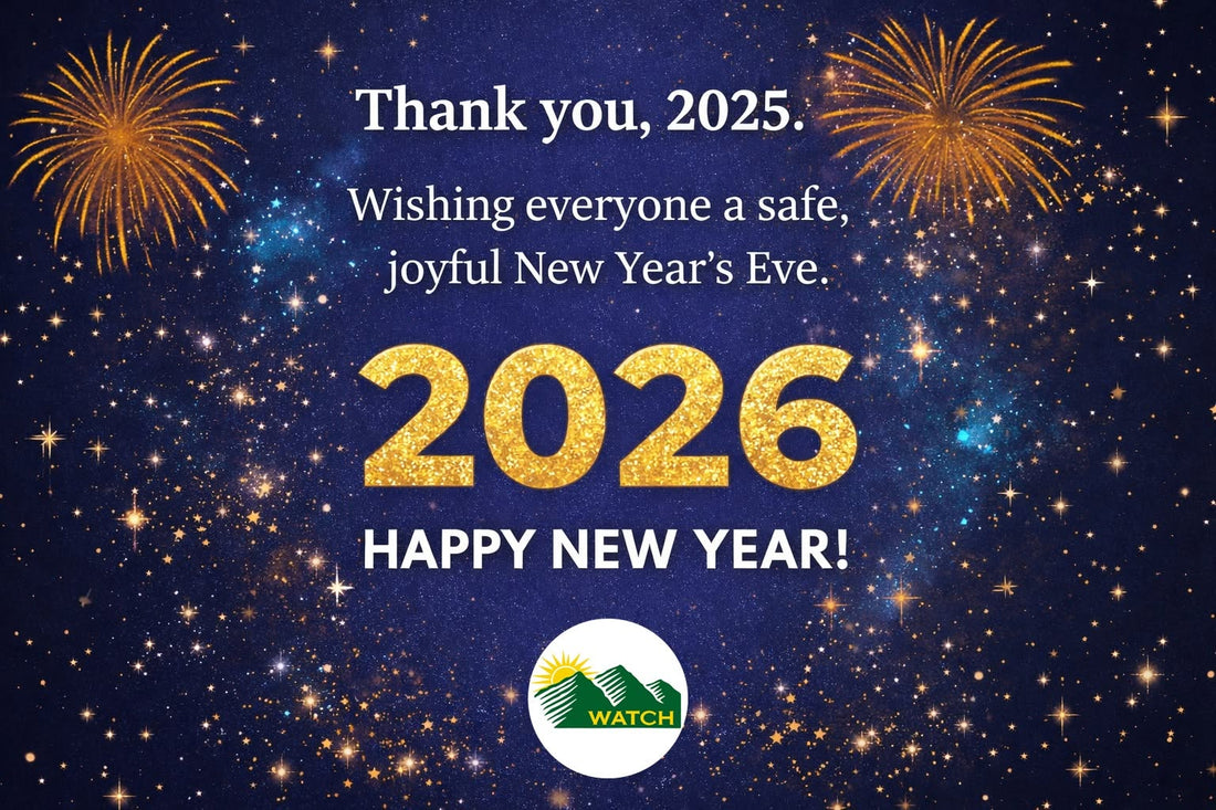 Thank you, 2025