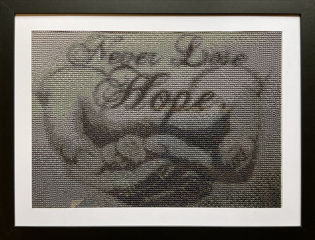 Diamond Dot Art - Framed Canvas - Handmade Crafts - 13 x 17 Never Lose Hope by Annika Kohler-Crowe
