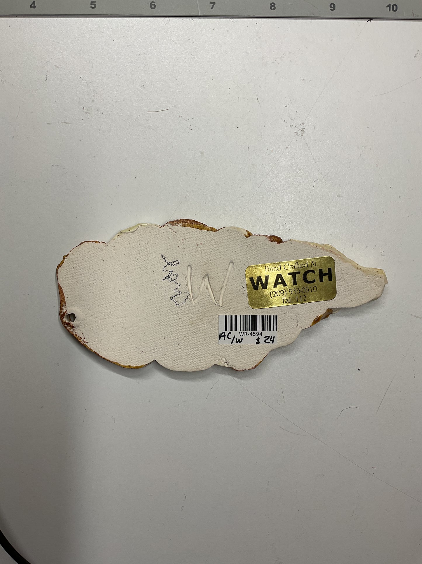 WATCH Resources Art Guild - Ceramic Arts Handmade Clay Crafts Glazed Shell 2.5-inch x 5.5-inch by Andy Crowe and Anonymous 4594