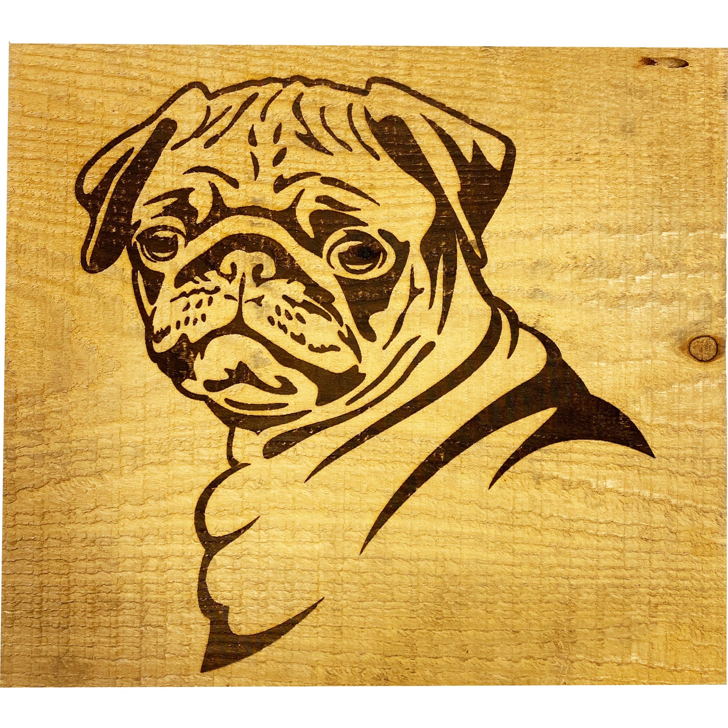 Etched Wood Burning, Original Fine Art, Pug Dog, 14 x 12.5" made by Lukas Miller