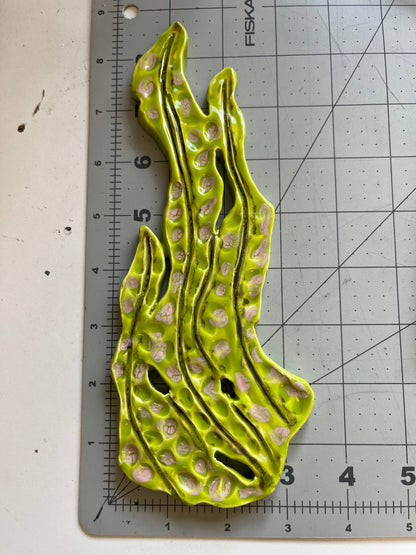 Ceramic Arts Handmade Clay Crafts Glazed Kelp 3.5-inch by 8.5-inch made by Ashley Dorsett 4168