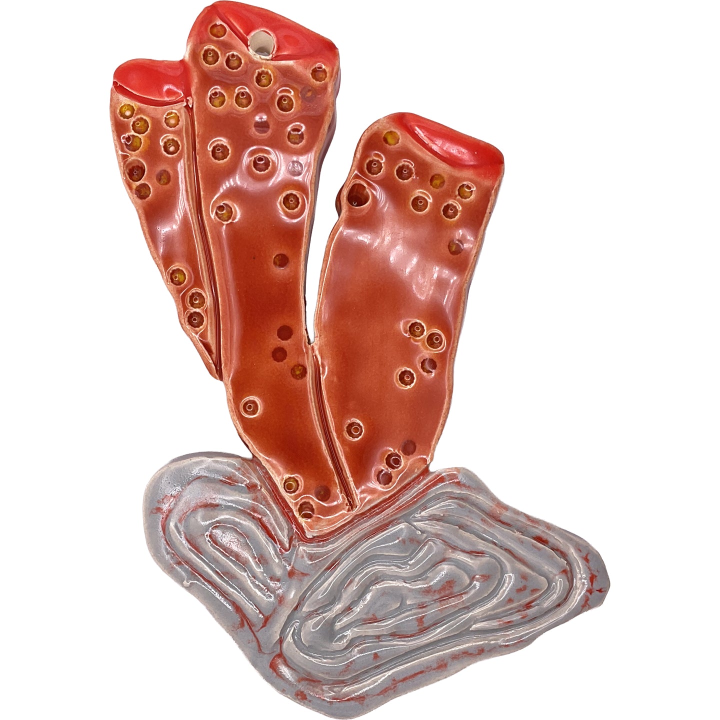 WATCH Resources Art Guild - Ceramic Arts Handmade Clay Crafts Glazed Coral 6-inch by 4-inch made by FN and Anonymous 4164