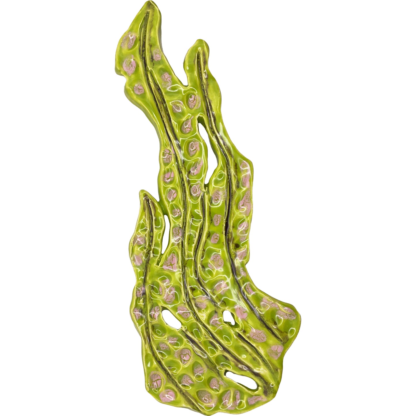 Ceramic Arts Handmade Clay Crafts Glazed Kelp 3.5-inch by 8.5-inch made by Ashley Dorsett 4168