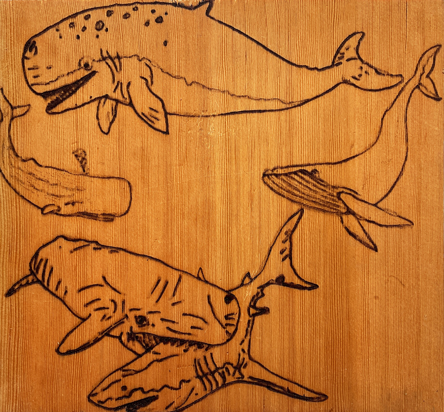 Etched Wood Burning, Original Fine Art, Ship 12 x 12" made by Lukas Miller 4281