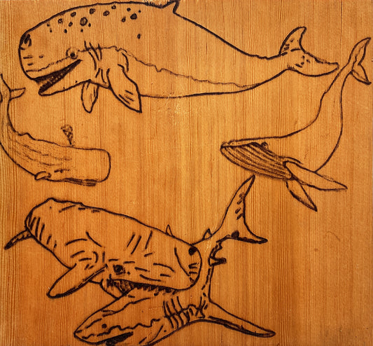 Etched Wood Burning, Original Fine Art, Ship 12 x 12" made by Lukas Miller 4281