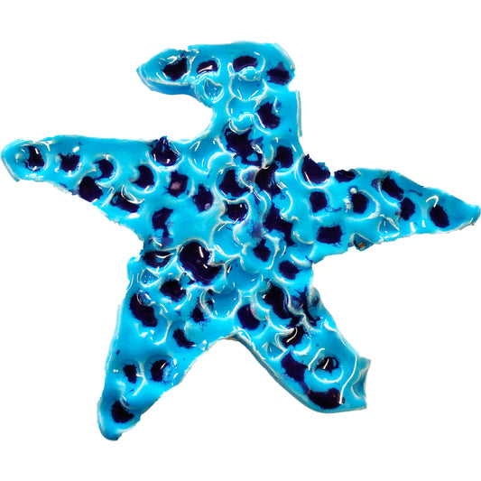 Ceramic Arts Handmade Clay Crafts Glazed Starfish 6-inch x 5-inch made by Breanne Wright & Emily Knoles 3559
